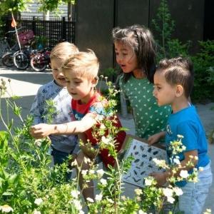 Groene tuinen als ideaal